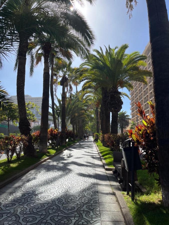 Estudio-Szl Puerto de la Cruz  Eksteriør bilde