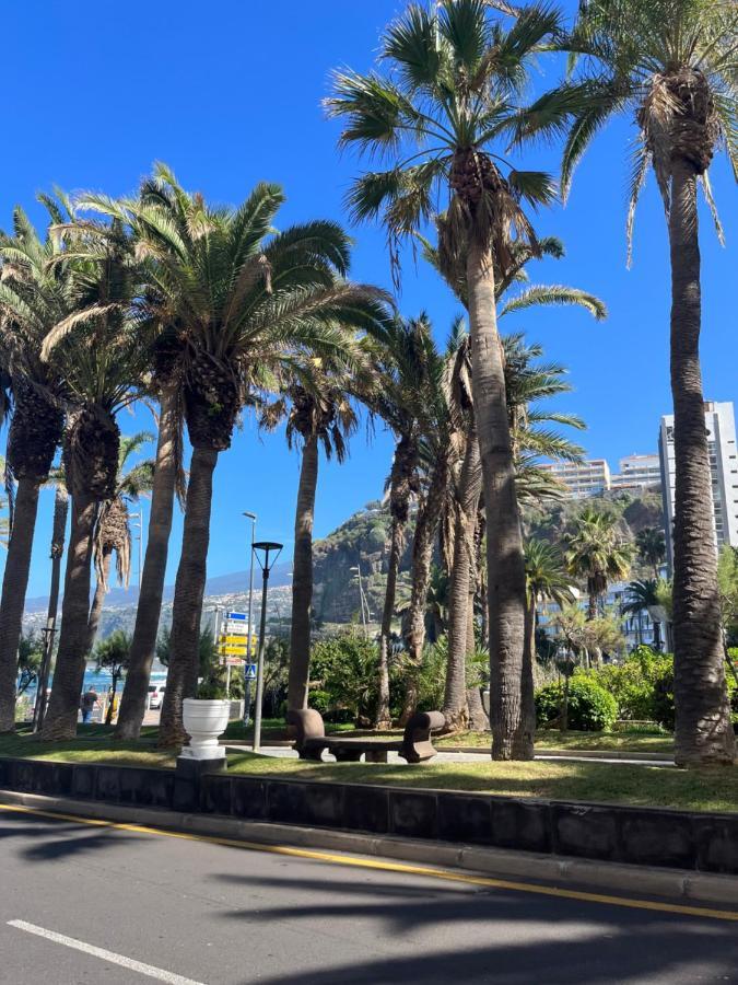 Estudio-Szl Puerto de la Cruz  Eksteriør bilde